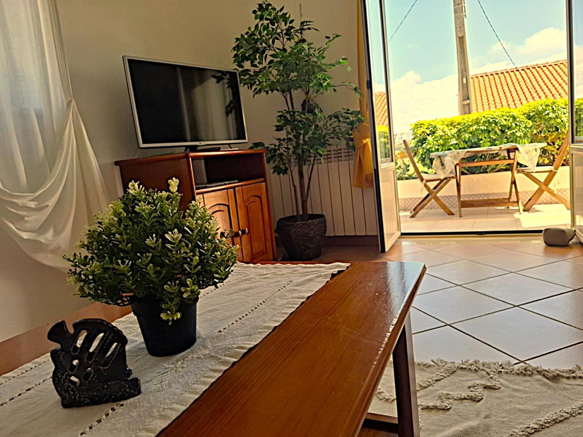 Sun & Surf Flat Arrifana Beach ألخيزور المظهر الخارجي الصورة